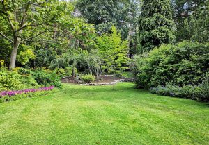 Optimiser l'expérience du jardin à Varennes-Saint-Sauveur